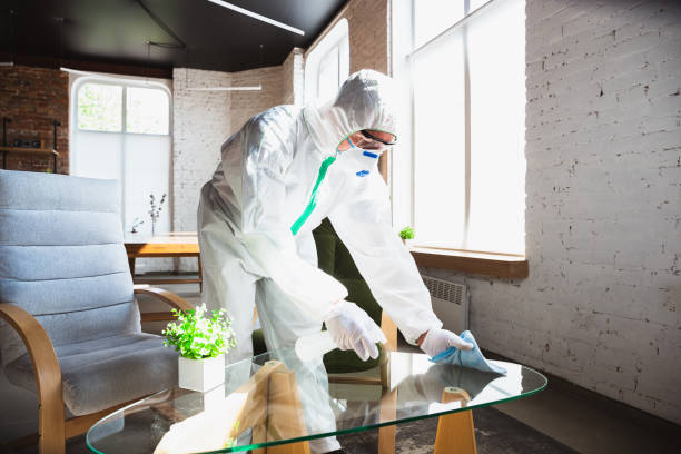 Mold Odor Removal Services in Quartzsite, AZ